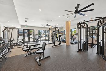 A gym with a variety of equipment including treadmills, weights, and a bench press.